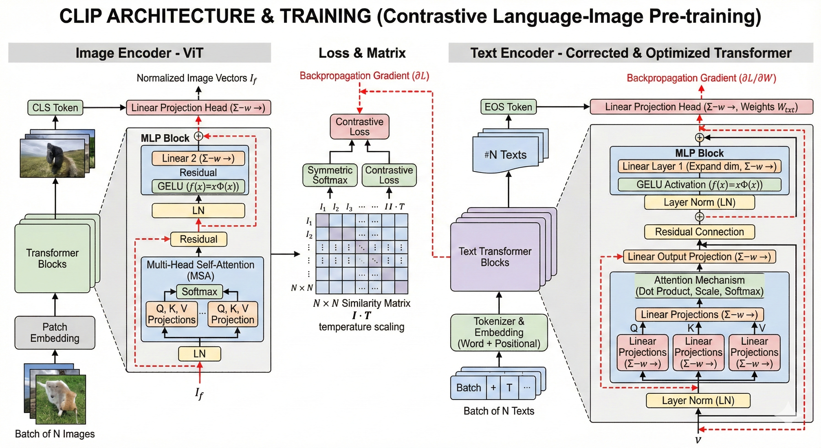 CLIP 神经网络结构示意